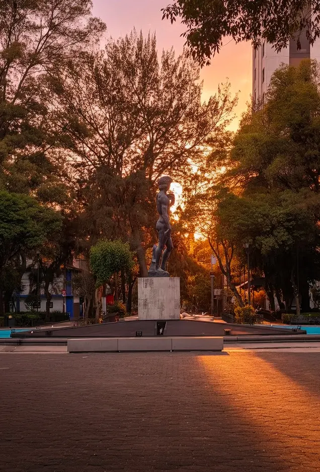 Acera arbolada en Roma Norte, Ciudad de México
